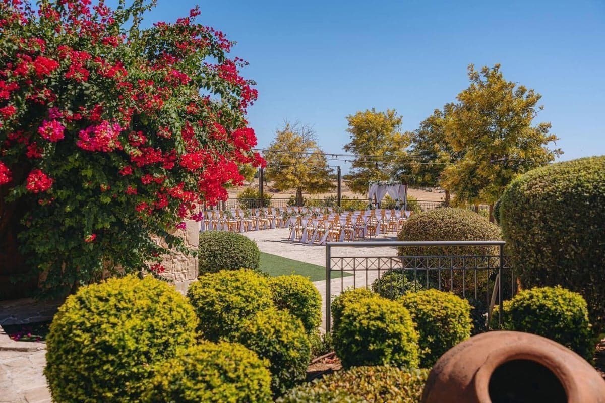 Bougainvillea garden ceremony at Liopetro stone estate, Kouklia