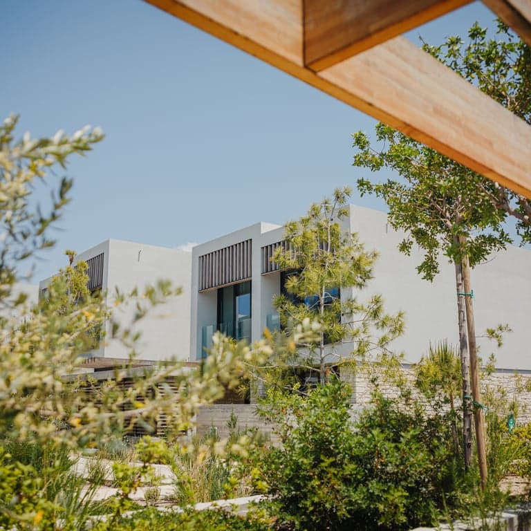 Couple portrait with flowers in Cyprus