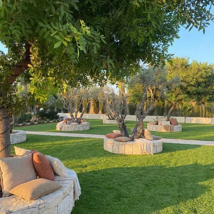 Illustrative garden design with olive trees, lawns and curved stone seating