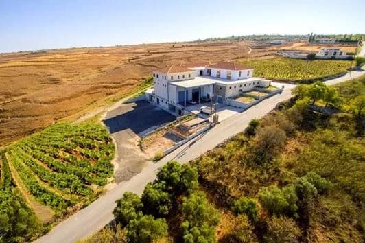 Vasilikon Winery
